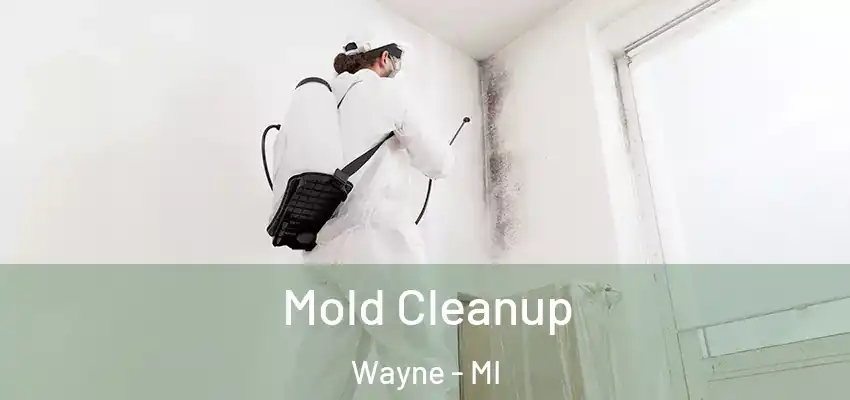 Mold Cleanup Wayne - MI