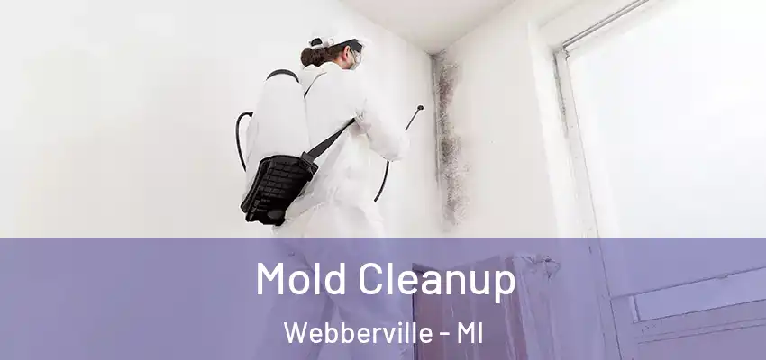  Mold Cleanup Webberville - MI