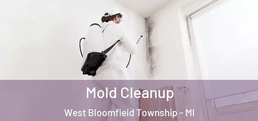  Mold Cleanup West Bloomfield Township - MI