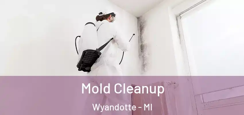  Mold Cleanup Wyandotte - MI