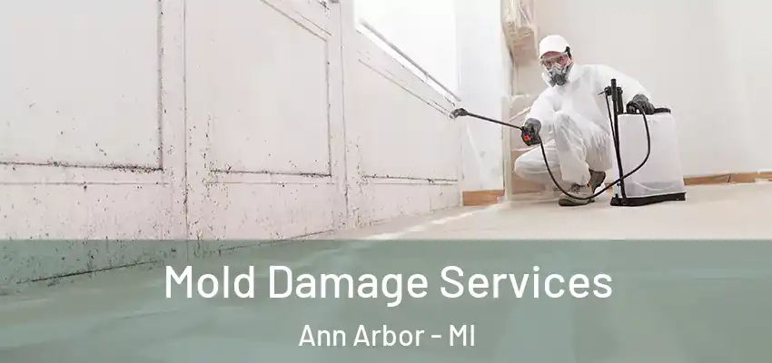 Mold Damage Services Ann Arbor - MI