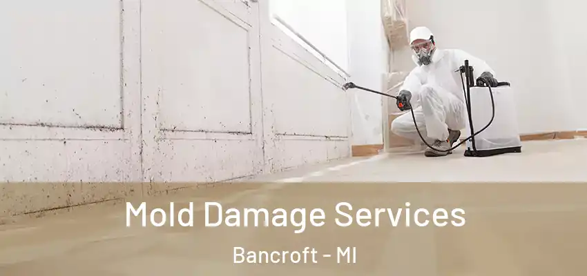  Mold Damage Services Bancroft - MI