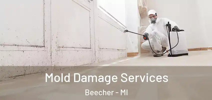  Mold Damage Services Beecher - MI