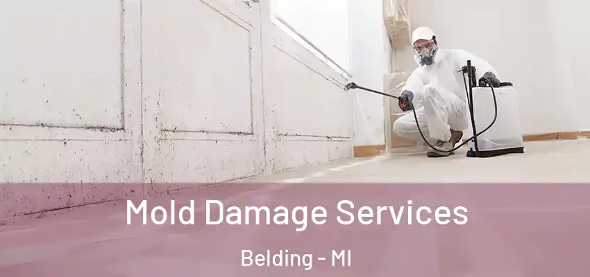  Mold Damage Services Belding - MI