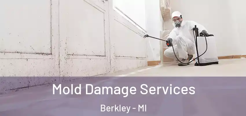  Mold Damage Services Berkley - MI