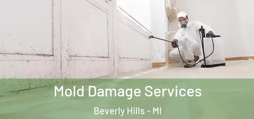  Mold Damage Services Beverly Hills - MI