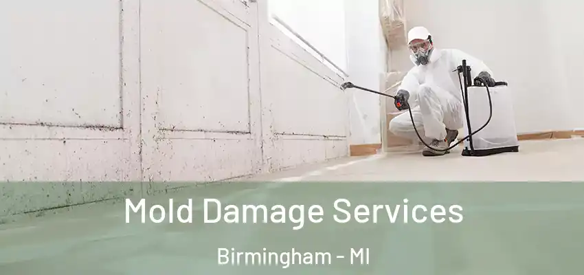  Mold Damage Services Birmingham - MI