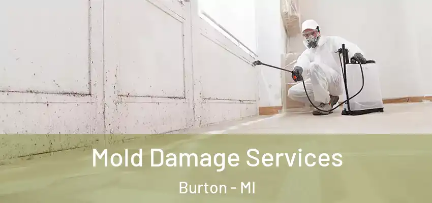  Mold Damage Services Burton - MI