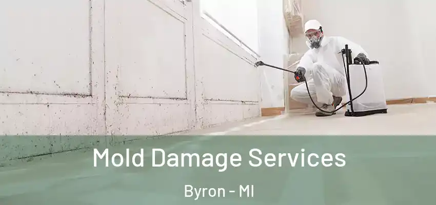 Mold Damage Services Byron - MI