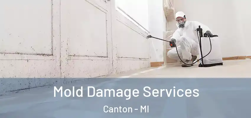  Mold Damage Services Canton - MI