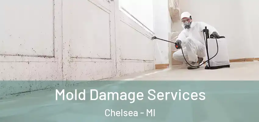  Mold Damage Services Chelsea - MI