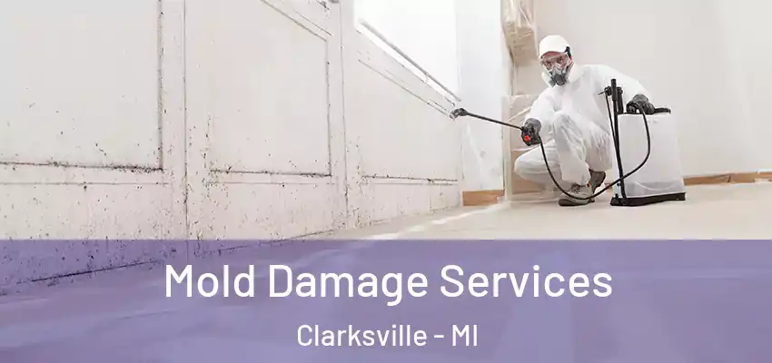  Mold Damage Services Clarksville - MI