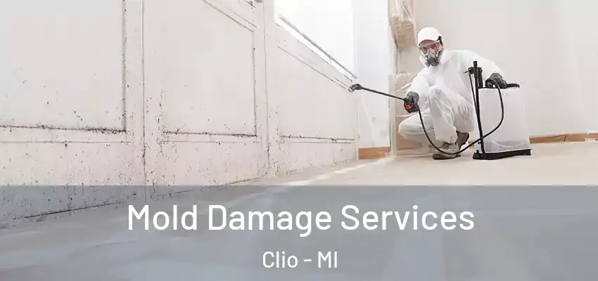  Mold Damage Services Clio - MI