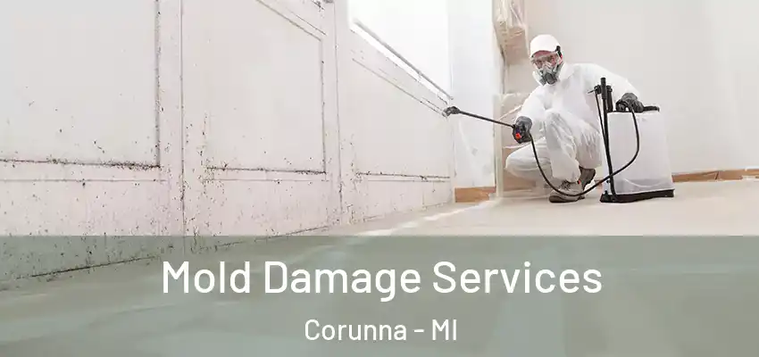  Mold Damage Services Corunna - MI