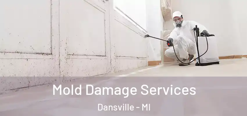  Mold Damage Services Dansville - MI