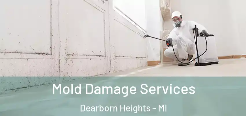  Mold Damage Services Dearborn Heights - MI