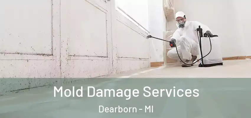  Mold Damage Services Dearborn - MI