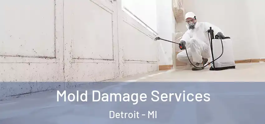  Mold Damage Services Detroit - MI