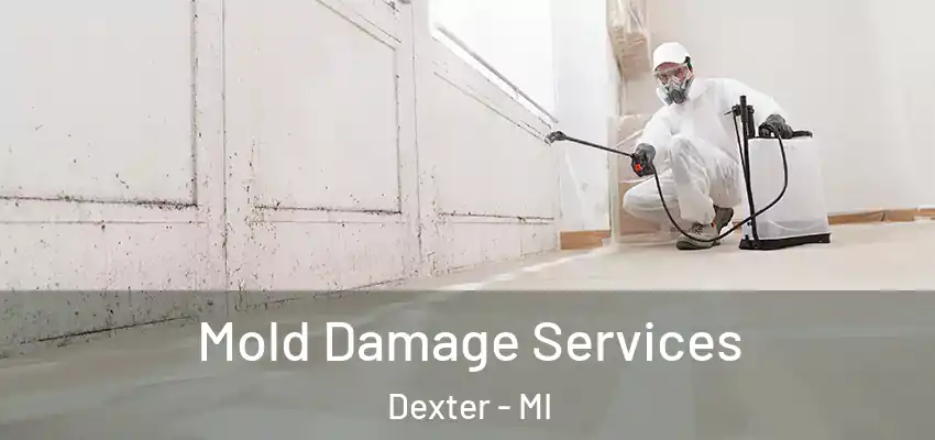  Mold Damage Services Dexter - MI