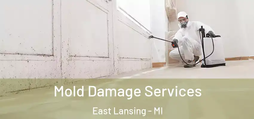  Mold Damage Services East Lansing - MI