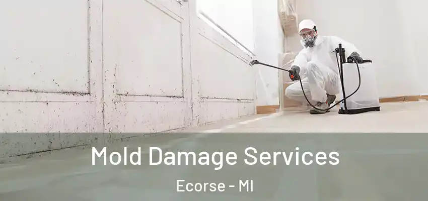  Mold Damage Services Ecorse - MI