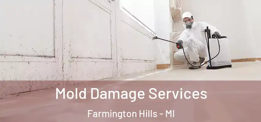  Mold Damage Services Farmington Hills - MI