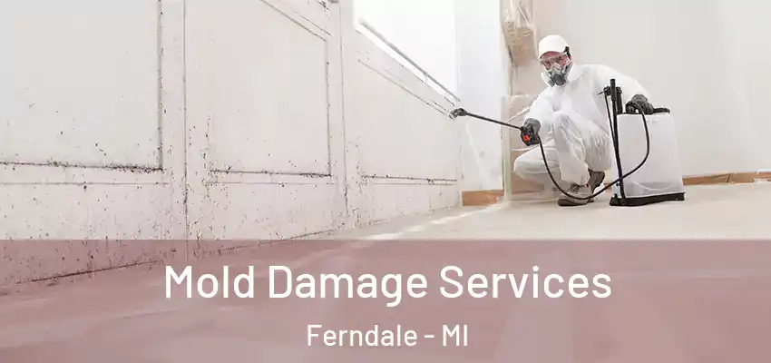  Mold Damage Services Ferndale - MI