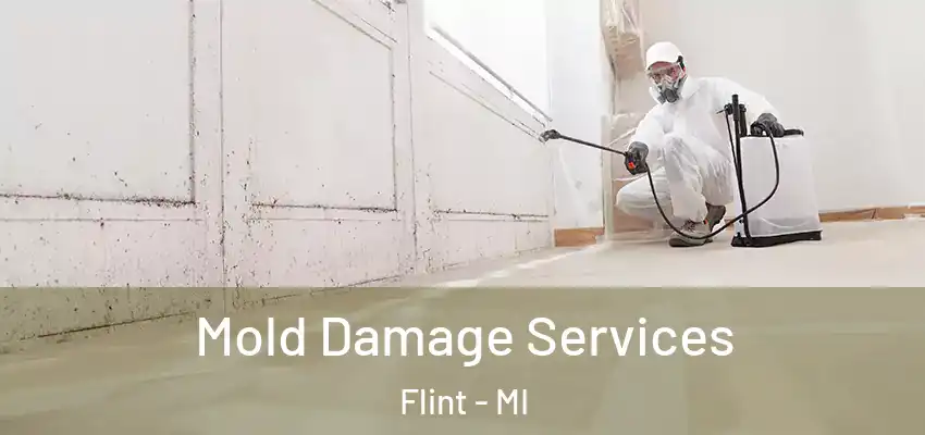  Mold Damage Services Flint - MI