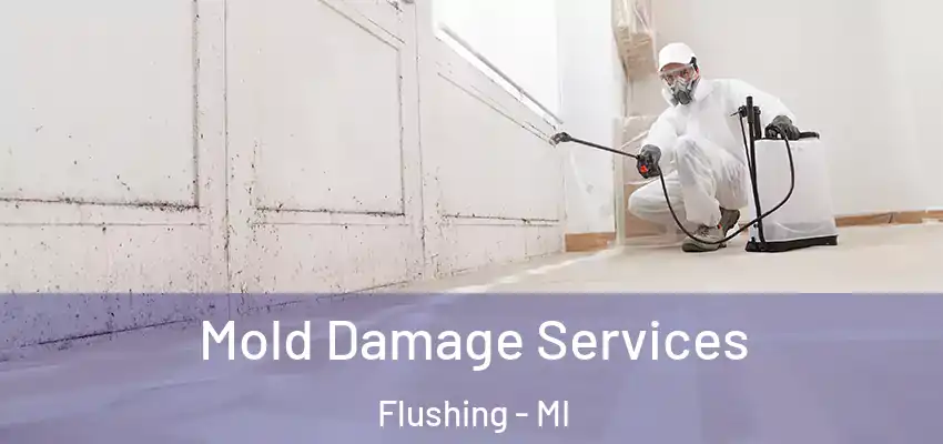  Mold Damage Services Flushing - MI