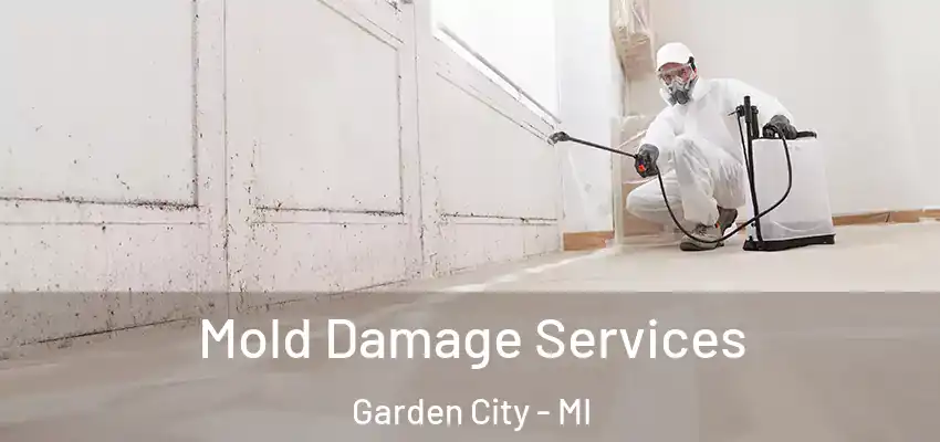  Mold Damage Services Garden City - MI