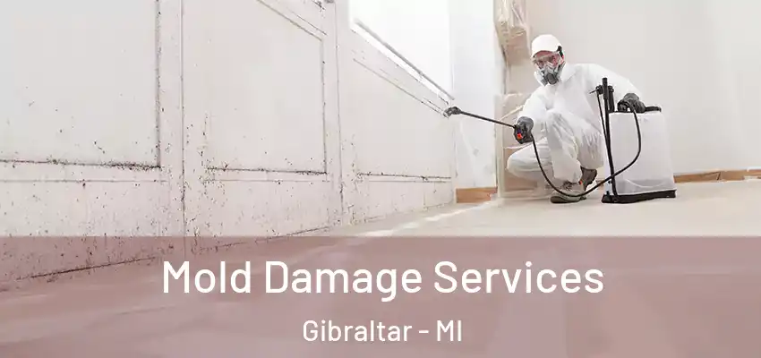  Mold Damage Services Gibraltar - MI
