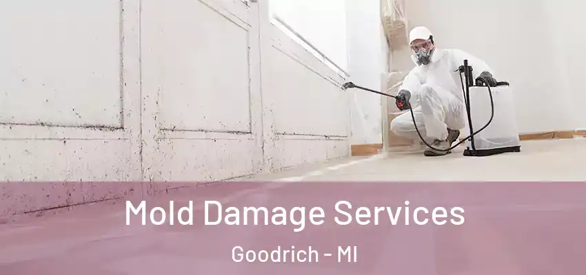  Mold Damage Services Goodrich - MI