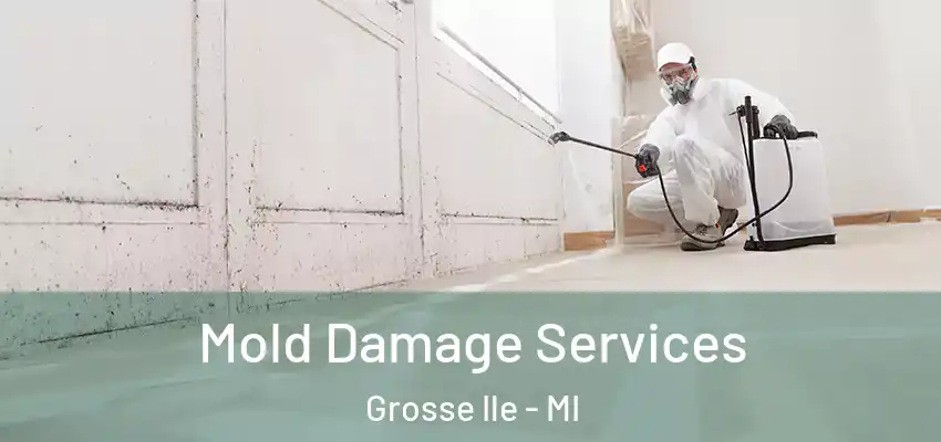  Mold Damage Services Grosse Ile - MI