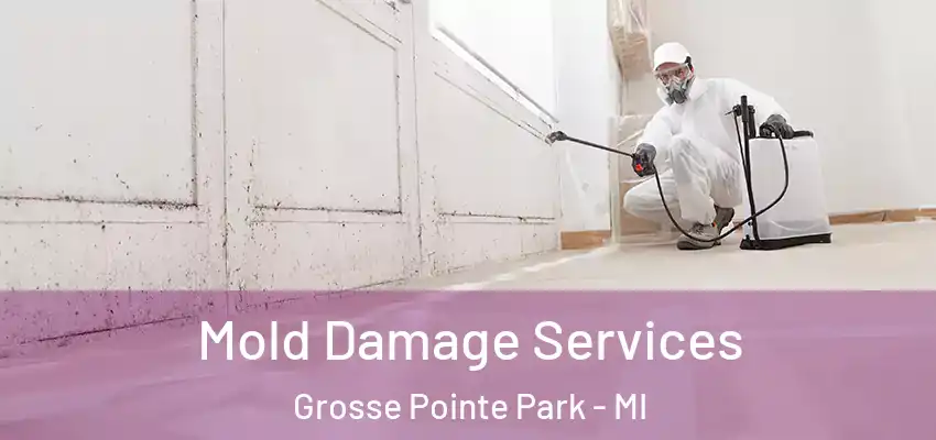  Mold Damage Services Grosse Pointe Park - MI