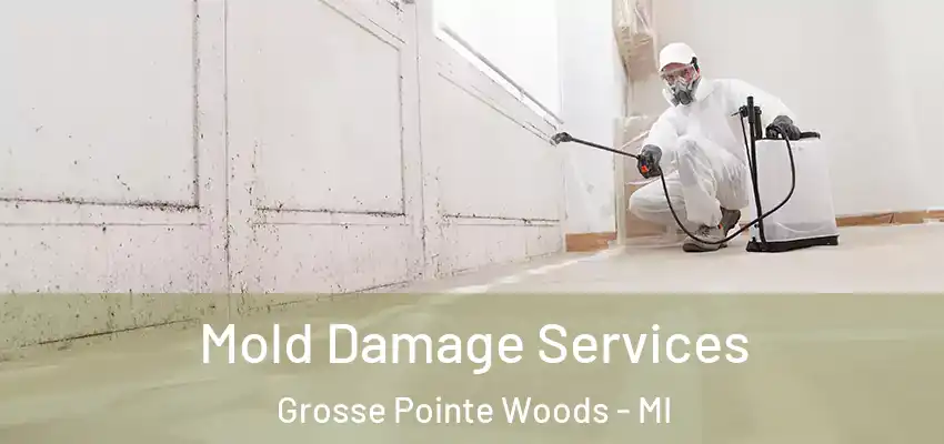  Mold Damage Services Grosse Pointe Woods - MI
