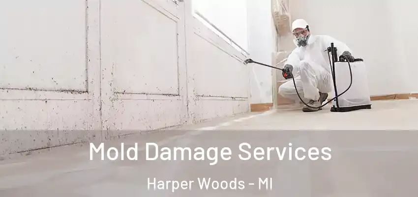  Mold Damage Services Harper Woods - MI