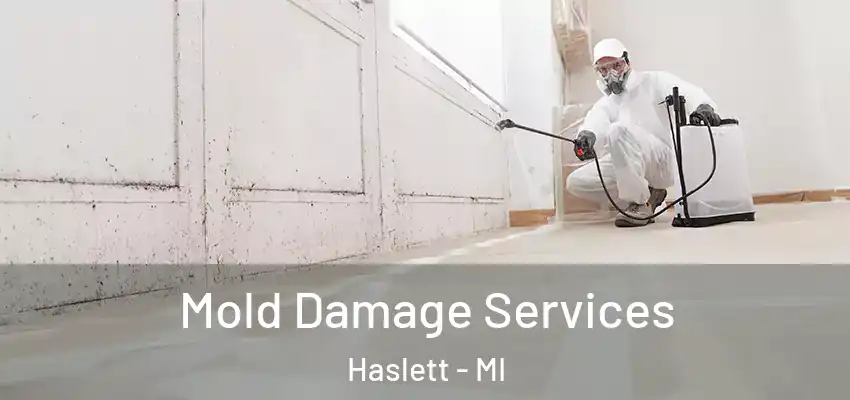 Mold Damage Services Haslett - MI