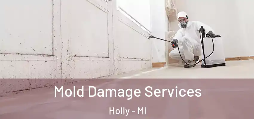  Mold Damage Services Holly - MI
