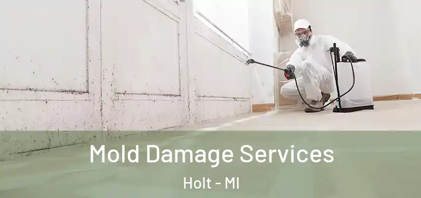 Mold Damage Services Holt - MI