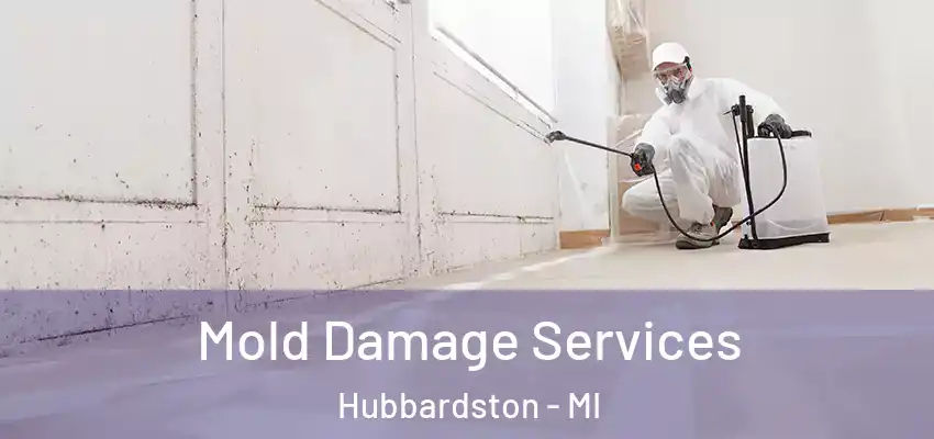  Mold Damage Services Hubbardston - MI