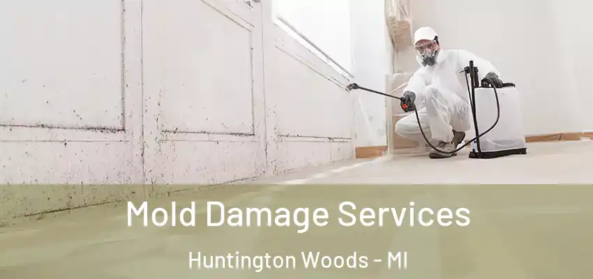  Mold Damage Services Huntington Woods - MI