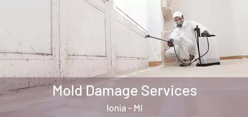  Mold Damage Services Ionia - MI