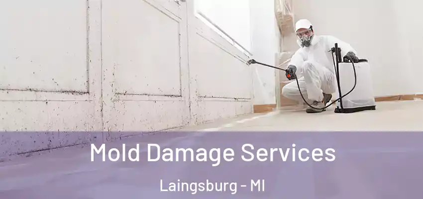  Mold Damage Services Laingsburg - MI