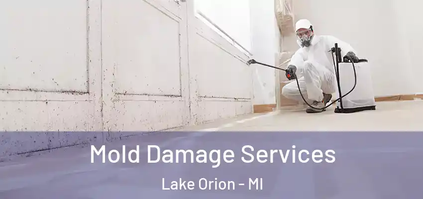  Mold Damage Services Lake Orion - MI