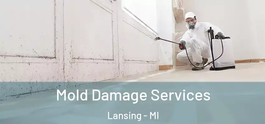 Mold Damage Services Lansing - MI