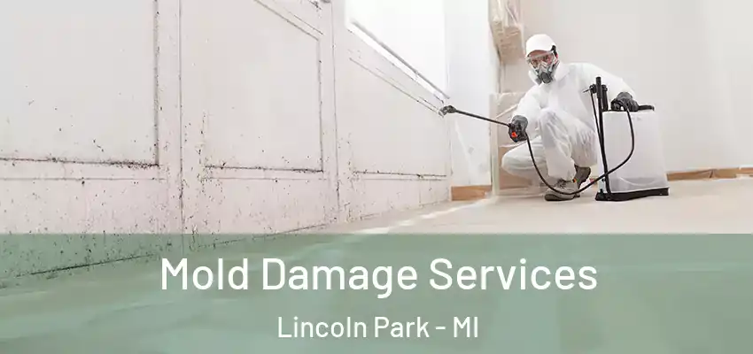  Mold Damage Services Lincoln Park - MI