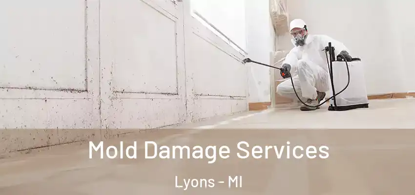 Mold Damage Services Lyons - MI