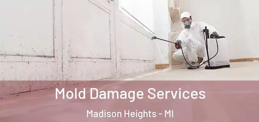  Mold Damage Services Madison Heights - MI