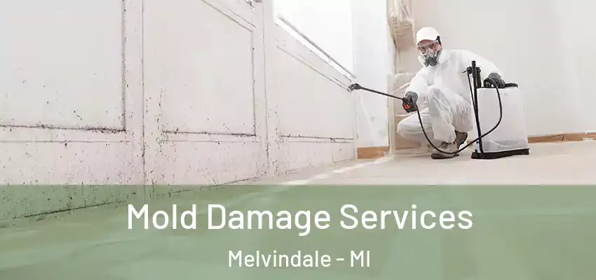 Mold Damage Services Melvindale - MI
