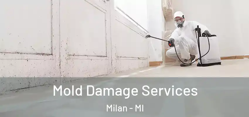  Mold Damage Services Milan - MI
